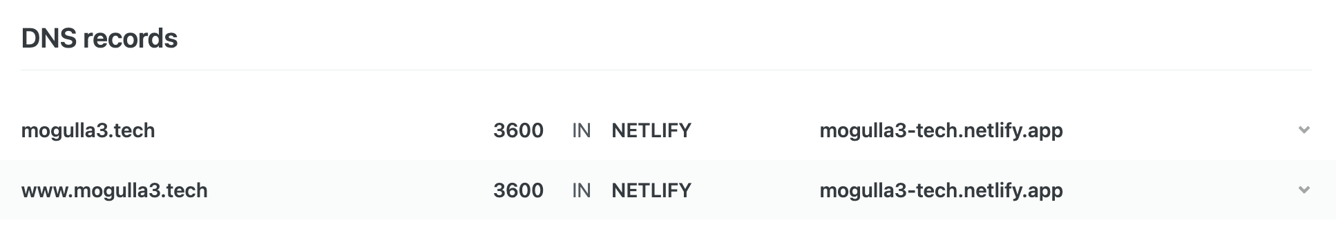 Netlify の DNS records の設定